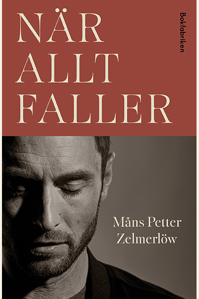 omslag_när-allt-faller_400x600